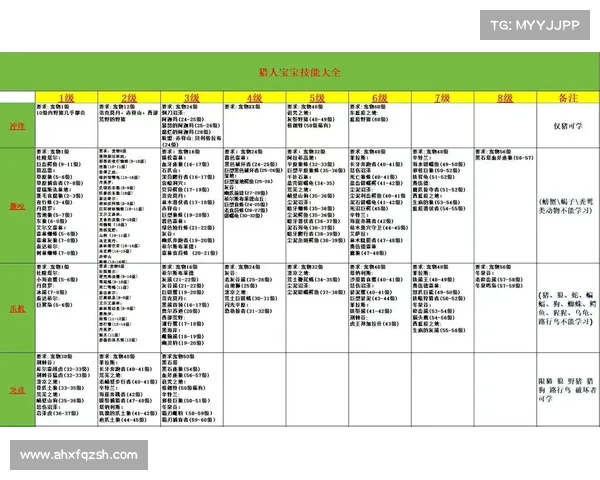 格斗猎人宝宝攻略 格斗猎人宝宝攻略