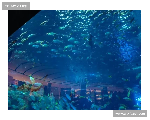 精灵秘境奇遇指南:揭秘幻境中的奥秘与挑战 精灵秘境奇遇指南:揭秘幻境中的奥秘与挑战